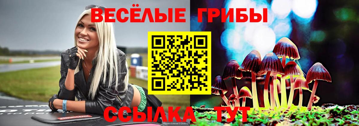Галлюциногенные грибы Magic Shrooms Димитровград