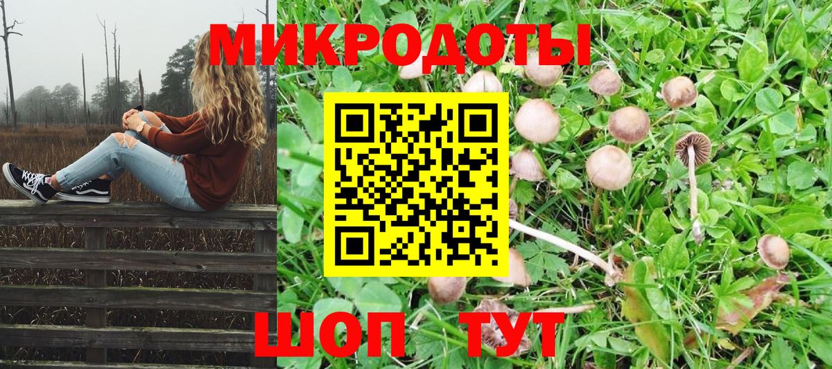 где купить наркотик  Галлюциногенные грибы мицелий  Вход с VPN  Димитровград 
