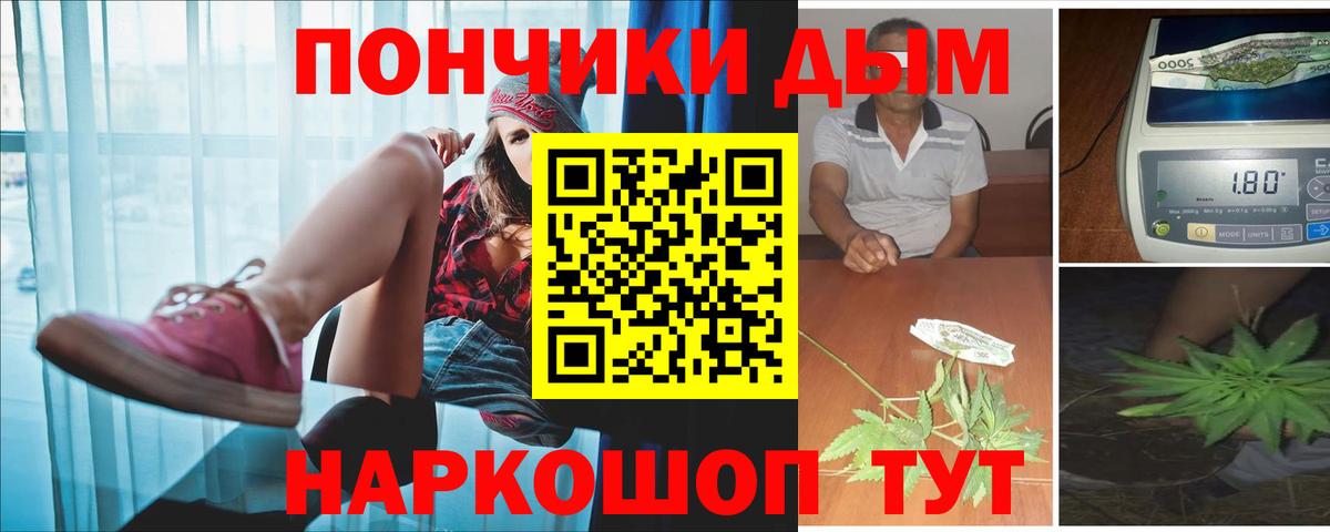 Бошки Шишки план  Каннабис конопля  Вход с VPN  Димитровград 